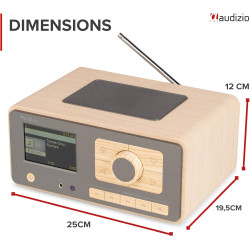 Audizio Dozza Radio Internet WiFi Dab+ FM BT 5.3 40W, Radio Numérique avec Télécommande, Écran Intuitif, Sortie Jack, Design Bam