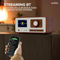 Audizio Dozza Radio Internet WiFi Dab+ FM BT 5.3 40W, Radio Numérique avec Télécommande, Écran Intuitif, Sortie Jack, Design Noy