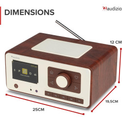 Audizio Dozza Radio Internet WiFi Dab+ FM BT 5.3 40W, Radio Numérique avec Télécommande, Écran Intuitif, Sortie Jack, Design Noy