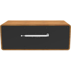 Telestar bobs rock radio 2.0 - dab+/radio internet avec lecteur cd (radio bob! émetteur préinstallé, stéréo, 2 × 15 w, services 