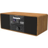 Telestar bobs rock radio 2.0 - dab+/radio internet avec lecteur cd (radio bob! émetteur préinstallé, stéréo, 2 × 15 w, services 
