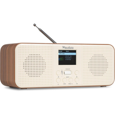 Audizio Bucine Radio Internet WiFi Dab+ FM BT 40W, Radio Numérique Stéréo avec Écran Couleur, Télécommande, Alarme Et Minuterie,