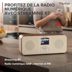 Audizio Bucine Radio Internet WiFi Dab+ FM BT 40W, Radio Numérique Stéréo avec Écran Couleur, Télécommande, Alarme Et Minuterie,