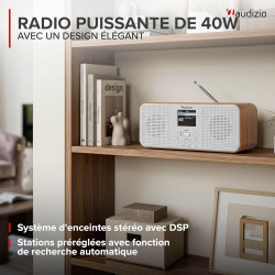 Audizio Bucine Radio Internet WiFi Dab+ FM BT 40W, Radio Numérique Stéréo avec Écran Couleur, Télécommande, Alarme Et Minuterie,