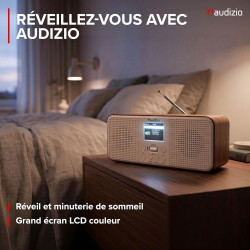 Audizio Bucine Radio Internet WiFi Dab+ FM BT 40W, Radio Numérique Stéréo avec Écran Couleur, Télécommande, Alarme Et Minuterie,