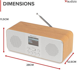Audizio Bucine Radio Internet WiFi Dab+ FM BT 40W, Radio Numérique Stéréo avec Écran Couleur, Télécommande, Alarme Et Minuterie,