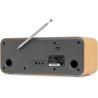 Audizio Bucine Radio Internet WiFi Dab+ FM BT 40W, Radio Numérique Stéréo avec Écran Couleur, Télécommande, Alarme Et Minuterie,