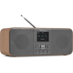 Audizio Bucine Radio Internet WiFi Dab+ FM BT 40W, Radio Numérique Stéréo avec Écran Couleur, Télécommande, Alarme Et Minuterie,