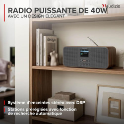 Audizio Bucine Radio Internet WiFi Dab+ FM BT 40W, Radio Numérique Stéréo avec Écran Couleur, Télécommande, Alarme Et Minuterie,