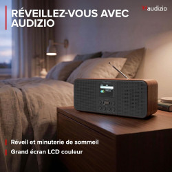 Audizio Bucine Radio Internet WiFi Dab+ FM BT 40W, Radio Numérique Stéréo avec Écran Couleur, Télécommande, Alarme Et Minuterie,
