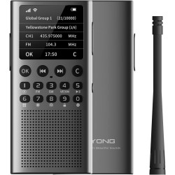Choyong wt2 radio internet intelligente multi-bande wifi/4g, am/fm et récepteur radio portable à ondes courtes radio longue port
