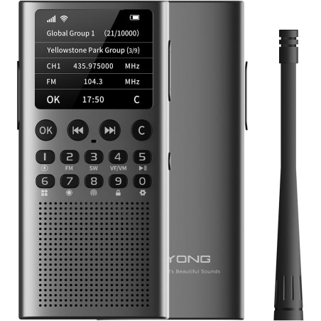 Choyong wt2 radio internet intelligente multi-bande wifi/4g, am/fm et récepteur radio portable à ondes courtes radio longue port