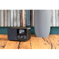 Kathrein dab+ link m11 – radio dab+/internet (mono, 15 watts, streaming audio bleutooth et fonction d’émission, services de stre
