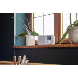 Kathrein dab+ link m11 – radio dab+/internet (mono, 15 watts, streaming audio bleutooth et fonction d’émission, services de stre