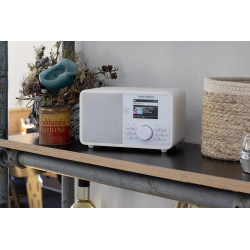 Kathrein dab+ link m11 – radio dab+/internet (mono, 15 watts, streaming audio bleutooth et fonction d’émission, services de stre