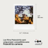 Everything Box Polaroid Go Generation 2 Appareil Photo instantané - Noir