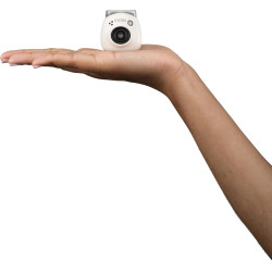 instax PAL, Blanc Laiteux