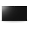 Sony BRAVIA CAM CMU-BC1 - Accessoire TV pour BRAVIA XR and X1 2022 Web Cam Connection USB Noire