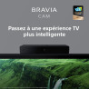 Sony BRAVIA CAM CMU-BC1 - Accessoire TV pour BRAVIA XR and X1 2022 Web Cam Connection USB Noire