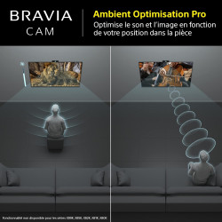 Sony BRAVIA CAM CMU-BC1 - Accessoire TV pour BRAVIA XR and X1 2022 Web Cam Connection USB Noire