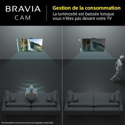 Sony BRAVIA CAM CMU-BC1 - Accessoire TV pour BRAVIA XR and X1 2022 Web Cam Connection USB Noire