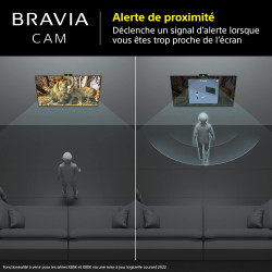 Sony BRAVIA CAM CMU-BC1 - Accessoire TV pour BRAVIA XR and X1 2022 Web Cam Connection USB Noire