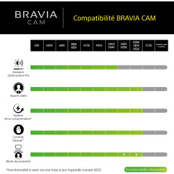 Sony BRAVIA CAM CMU-BC1 - Accessoire TV pour BRAVIA XR and X1 2022 Web Cam Connection USB Noire