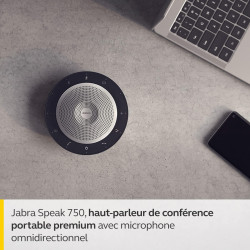 Jabra PanaCast Meet Anywhere, Kit de visioconférence - Vue panoramique 4K, Jabra Speak 750 - Certifié UC, Compatible avec MS Tea