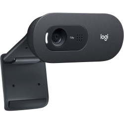 Logitech C505e Webcam Professionnelle HD - Webcam USB HD 720p pour Ordinateur de Bureau et Ordinateur Portable, avec Microphone 