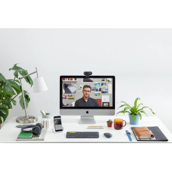 Logitech C505e Webcam Professionnelle HD - Webcam USB HD 720p pour Ordinateur de Bureau et Ordinateur Portable, avec Microphone 