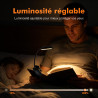 GRIFEMA Lampe de Lecture à Pince, 10 LED, USB C, Tête Orientable à 180° | 3 Températures de Couleur, Intensité Réglable de 10 à 