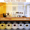 Bande LED de 30 m - Intensité variable - Contrôle par application - Blanc chaud à blanc froid - 24 V - Avec bloc d'alimentation 