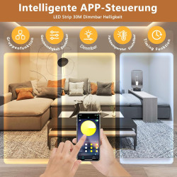 Bande LED de 30 m - Intensité variable - Contrôle par application - Blanc chaud à blanc froid - 24 V - Avec bloc d'alimentation 