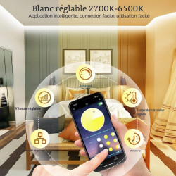 Wefomey 30M Ruban LED Blanc Chaud à Blanc Froid 2700k à 6500k Dimmable, Bande LED 24V avec App Contrôle, Alimentation et Télécom