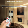 Wefomey Bande LED 40 m, 4000 K, 24 V, flexible, flexible, à intensité variable, pour cuisine, fête, chambre à coucher