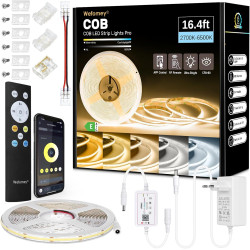 Bande LED COB 5M, commande APP, bande LED blanc chaud blanc froid 2700K-6500K, 24V variable flexible ensemble de bande LED avec 