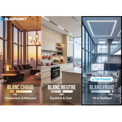 Blaupunkt Ampoule LED G9 4W 500lm 6500K Lumière du Jour, Lot de 6 | Lot économique, Lumière du jour 6500K, Facile à installer, L