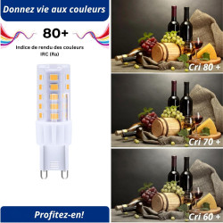Blaupunkt LED G9 Ampoule Dépolie 4W 500lm 4000K Blanc Naturel, Lot de 2 | Sans scintillement, Finition dépolie anti-reflets, 400