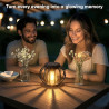 Lot de 2 lampes solaires à suspendre pour l'extérieur - Lanternes solaires rétro à LED - Décoration de jardin - Étanche - En mét