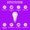 Philips Smart Lighting, Ampoule Connectée LED RGB A60, Pack 2, Culot E27, 1521 lm, Lumière Couleur et Blanc Réglable 2200-6500 K