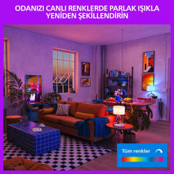 Philips Smart Lighting, Ampoule Connectée LED RGB A60, Pack 2, Culot E27, 1521 lm, Lumière Couleur et Blanc Réglable 2200-6500 K