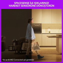 Philips Smart Lighting, Ampoule Connectée LED RGB A60, Pack 2, Culot E27, 1521 lm, Lumière Couleur et Blanc Réglable 2200-6500 K