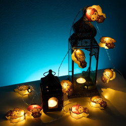 Harry Potter 2D Character String - Lights