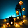 Harry Potter 2D Character String - Lights