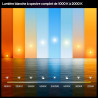Philips Hue Spot Encastrable Fin, Plafonnier LED Encastré, 1000 lm, 90 mm, Fin, Spectre Complet 1000 K-20000 K, Gradation Ultra 