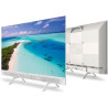 Metz Portable Smart TV 32 Pouces (80 cm), QLED, Google Television HDR 10 Haut-parleurs Puissants DBX TV Dolby Audio Chromecast C