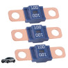 3 Pièces Fusibles Midi 100A, Fusible Voiture, Haute Tension 12V-58V, Compatible avec Voitures, Camions, Véhicules de Constructio