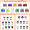 220Pcs Fusible Voiture Set, Fusible de Voiture Standard/Mini/Micro avec Extracteur/Tournevis Testeur, Etanche Fusible Auto 2A/3A