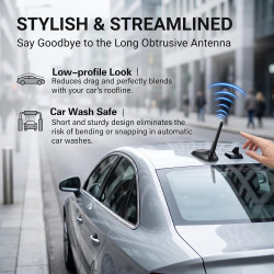 2 PCS 6.5cm Mini Antenne Voiture Courte Universelle FM AM pour Autoradio, Antenne de Toit avec Adaptateurs M4 M5 M6, Réception R