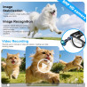 Lunettes intelligentes avec appareil photo pour homme et femme, lunettes d'appareil photo 8 MP avec enregistrement audio et vidé